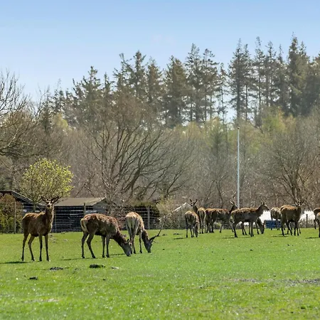 Casa de Férias Haderslev 25
